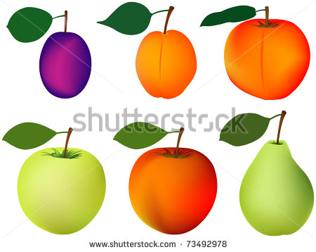 Plum Apricot Peach Apple Pear Stock Photo 73492978   Shutterstock
