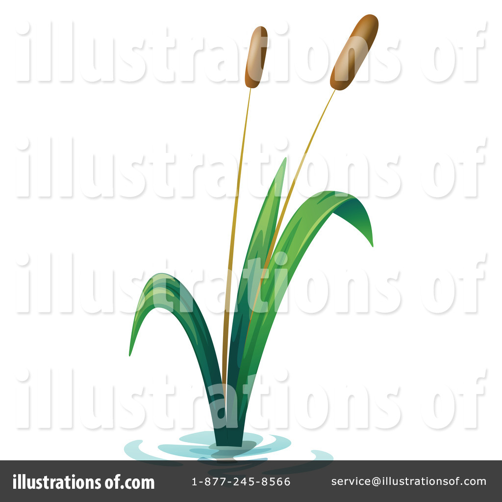 Royalty Free  Rf  Cattail Clipart Illustration By Colematt   Stock