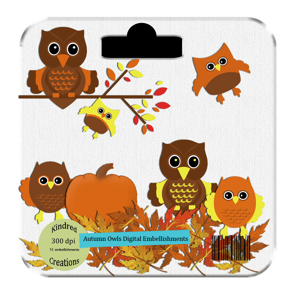     To Autumn Owls Clipart Set Personal And Small Business Use On Etsy