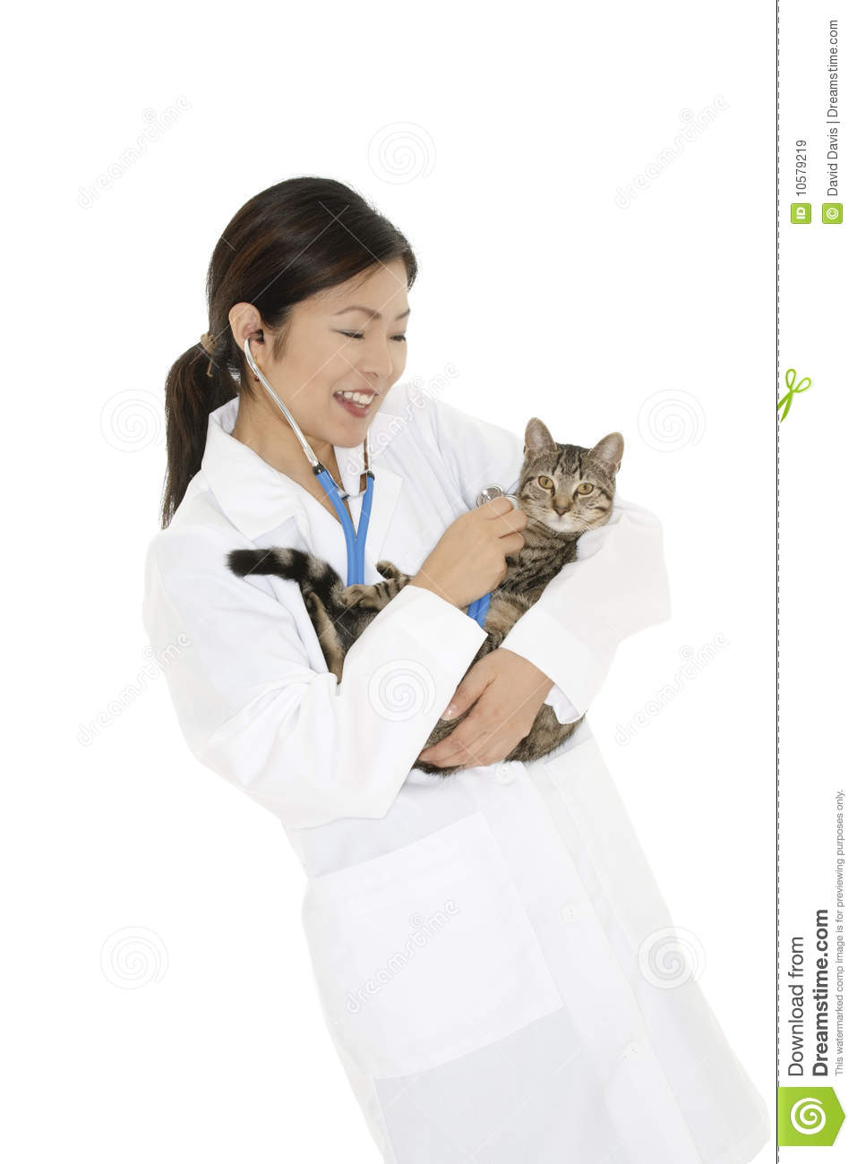 Veterinarian Royalty Free Stock Images   Image  10579219