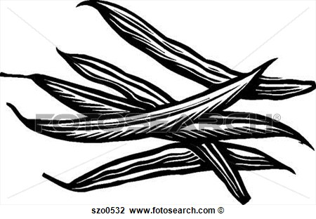 Clip Art   An Illustration Of Beans In Black And White  Fotosearch