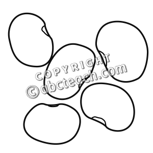 Clip Art  Lima Beans  Coloring Page    Preview 1