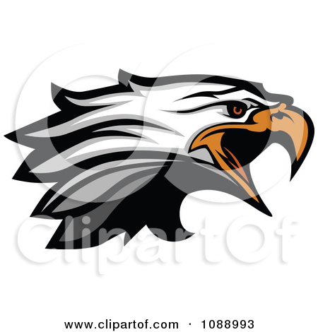 Clipart Focused Bald Eagle Head   Royalty Free Vector Illustration By