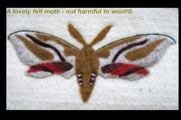 Clothes Moth Problem  Moth Wool Felt Wall Hanging  View All Items In