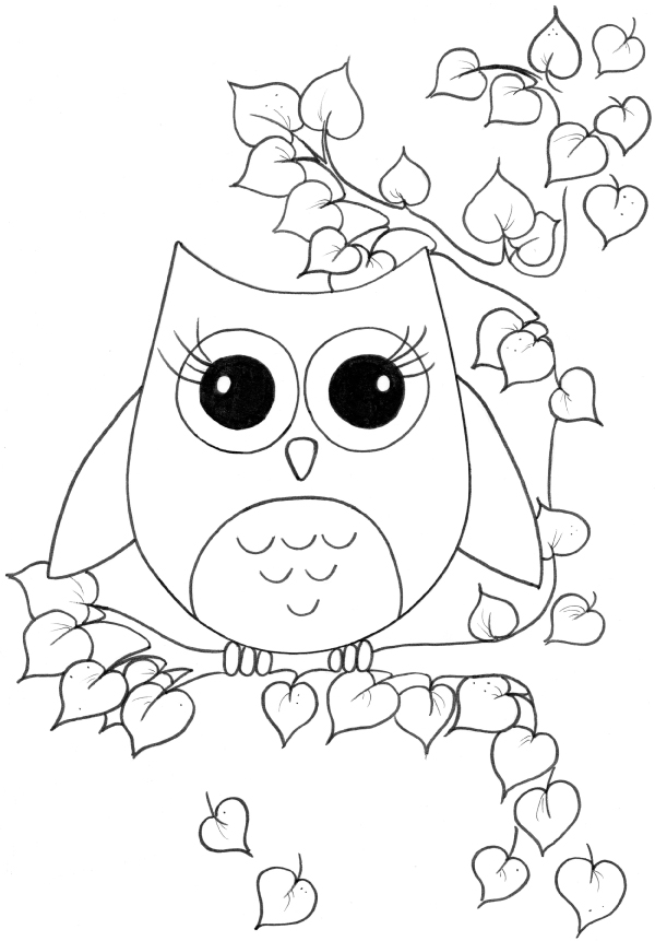 Cute Owl Colouring Pages