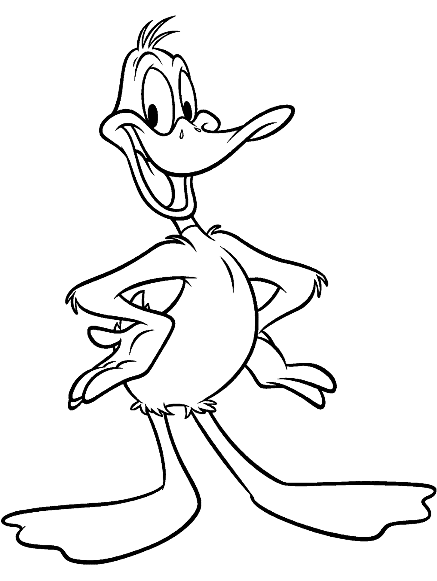Daffy Duck Coloring Page For Kids Wallpaper   Clipart Best   Clipart