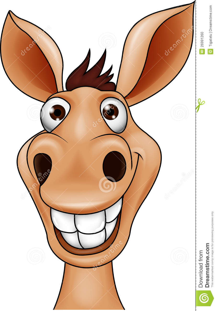 Donkey Head Stock Photo   Image  26991260