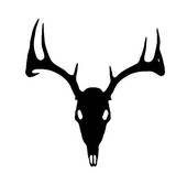 European Deer Silhouette Black On White   Clipart Graphic