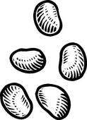 Green Beans Clipart Black And White Beans In Black And White
