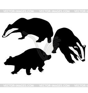 Set Of Badger Silhouettes   Vector Clipart