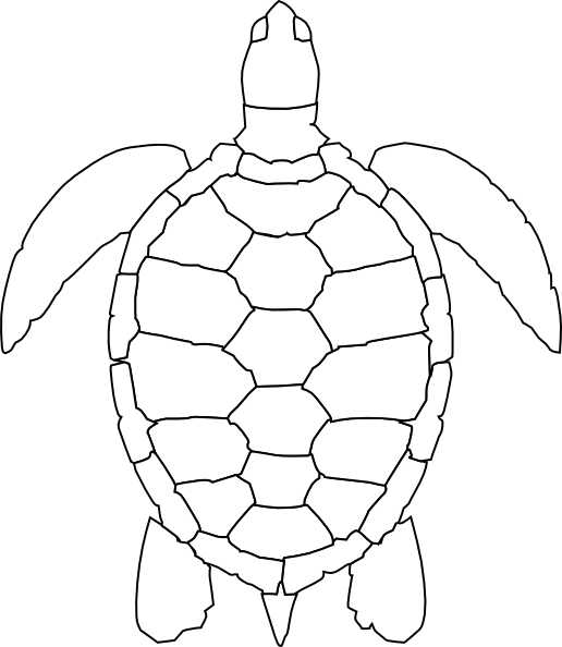 Turtle Outline Clip Art At Clker Com   Vector Clip Art Online Royalty    