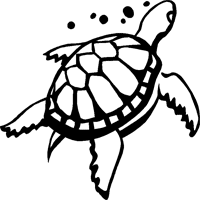 Turtle Stickers   Turtle Decals   Car Stickers