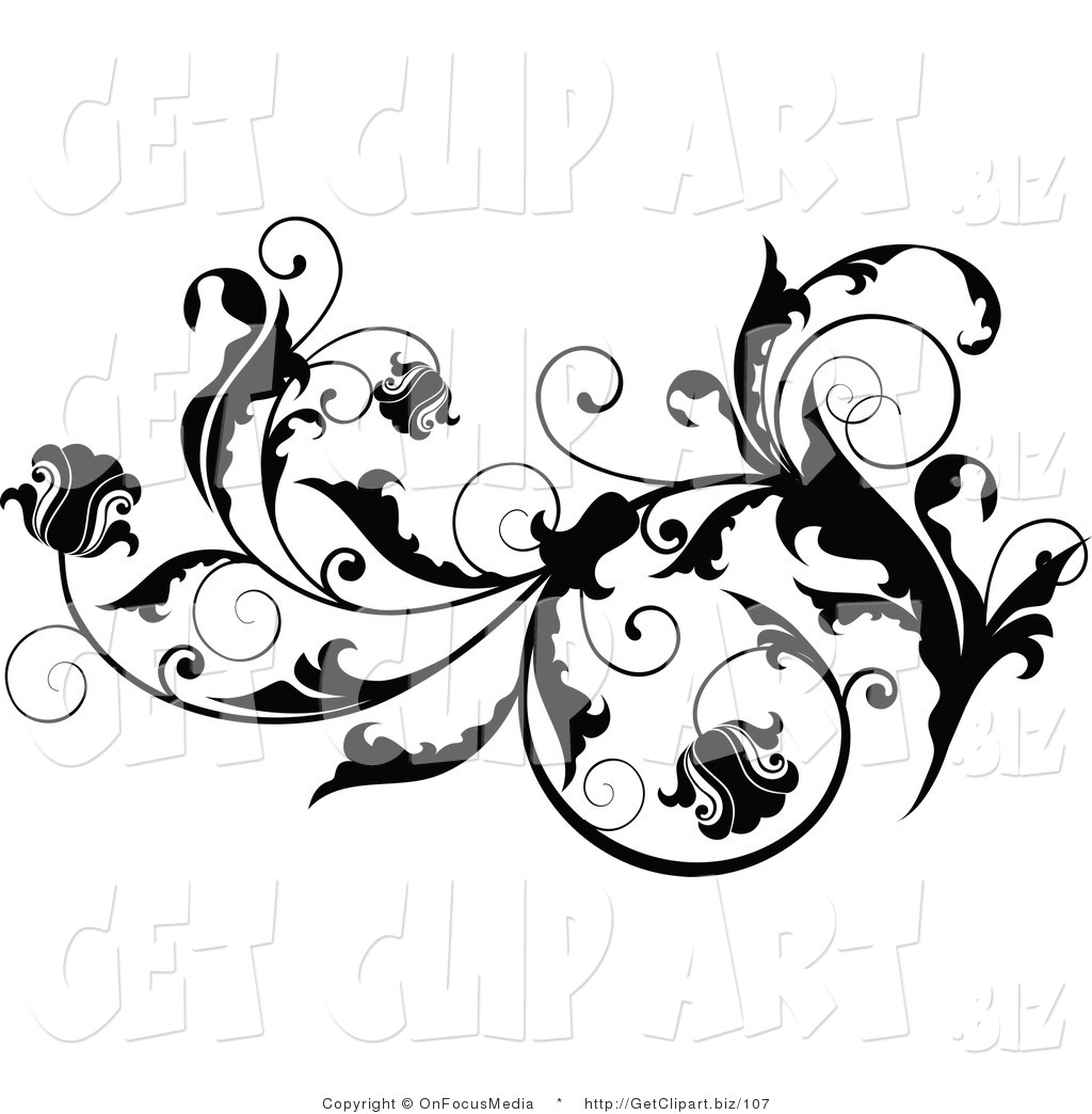 Black Vine Flourish With Curly Tendrils Flowing Right By Onfocusmedia