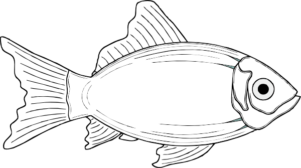 Cod Fish White Clip Art At Clker Com   Vector Clip Art Online