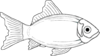 Generic Fish Clip Art At Clker Com   Vector Clip Art Online Royalty