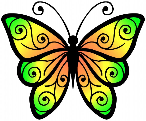 Clipart Butterfly 4 Free Stock Photo   Public Domain Pictures