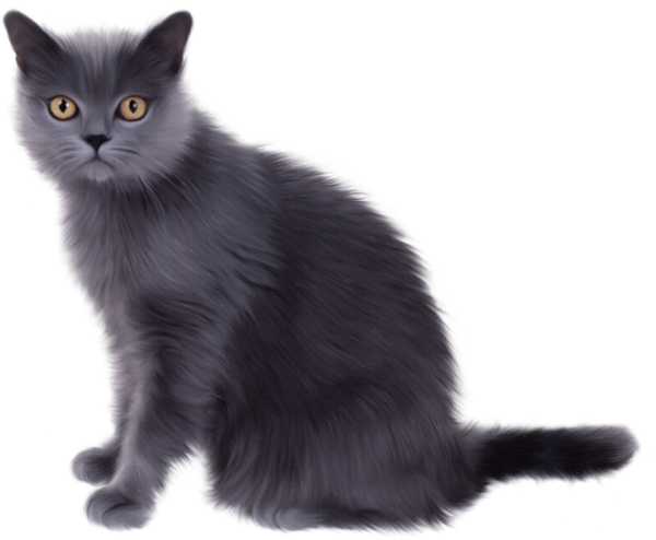 Grey Cat Clipart By Laki10 On Deviantart