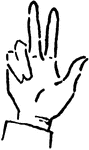 Hand Signal