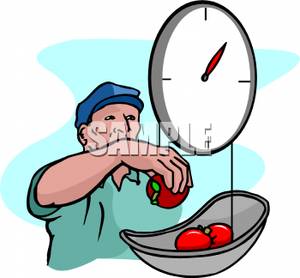 Out Tomatoes On A Pair Of Scales   Royalty Free Clipart Picture