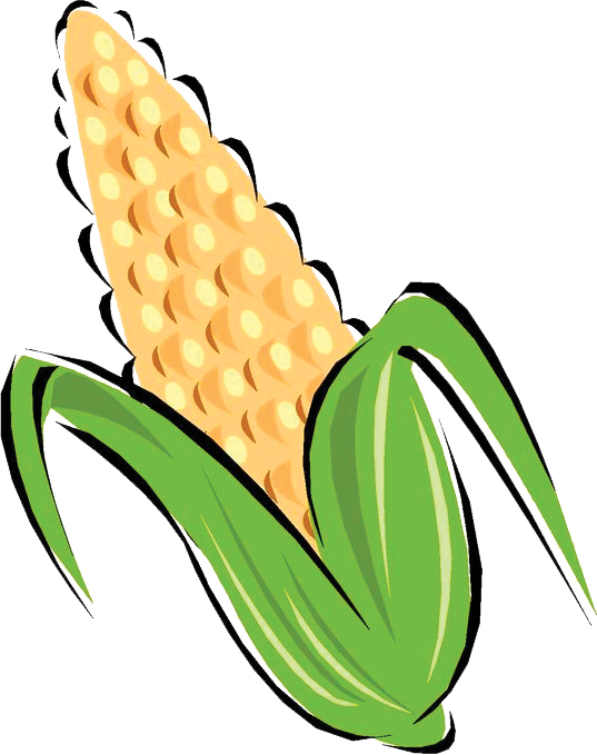 Corn Plant Clipart Corn Clipart
