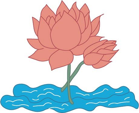 Flowers   Lotus   Classroom Clipart