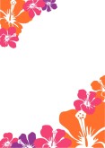 Hawaiian Flower Clipart Border Bright Hibiscus Floral