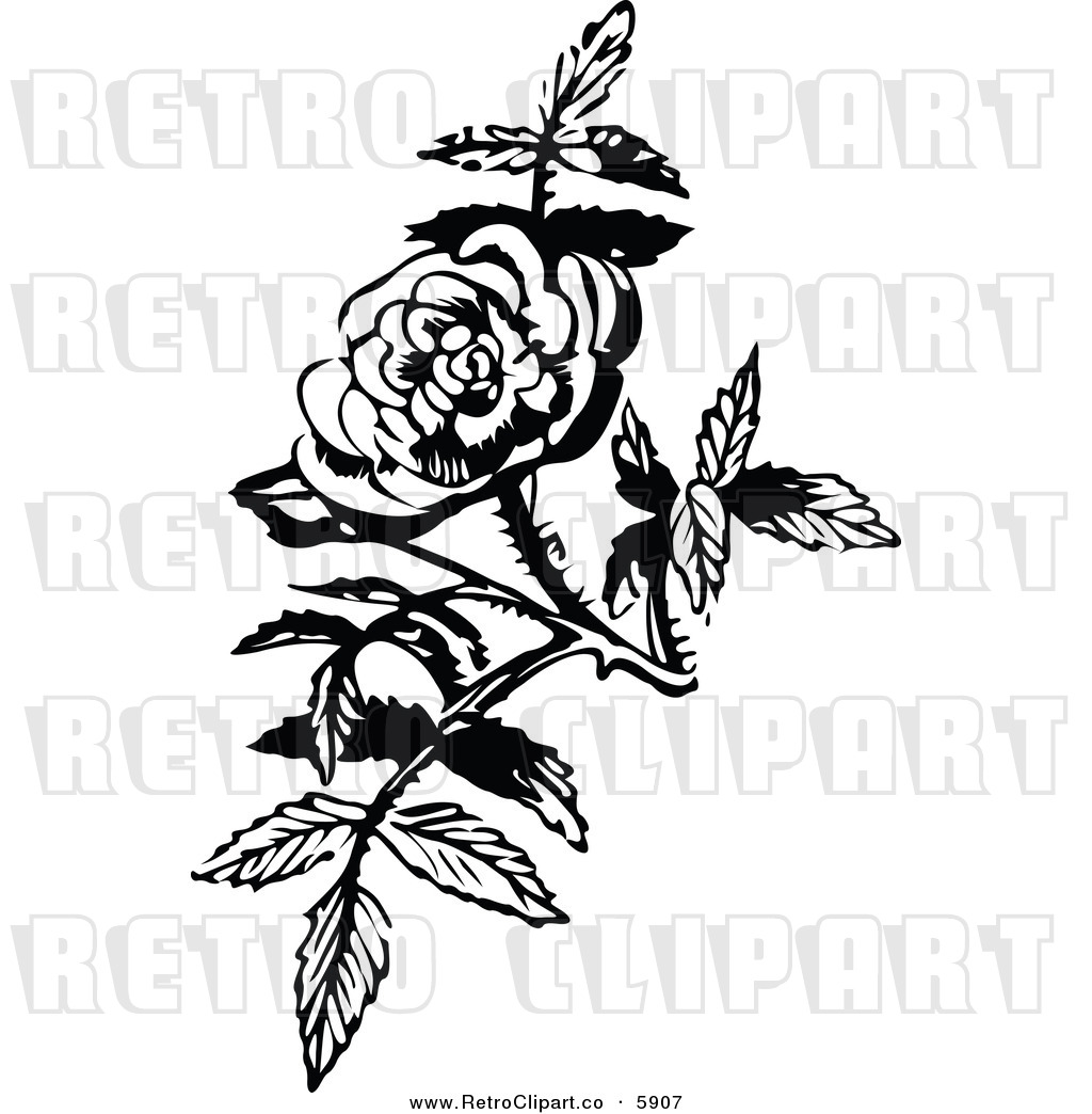     Images Of Clipart Vintage Black And White Rose Blossom Design Element
