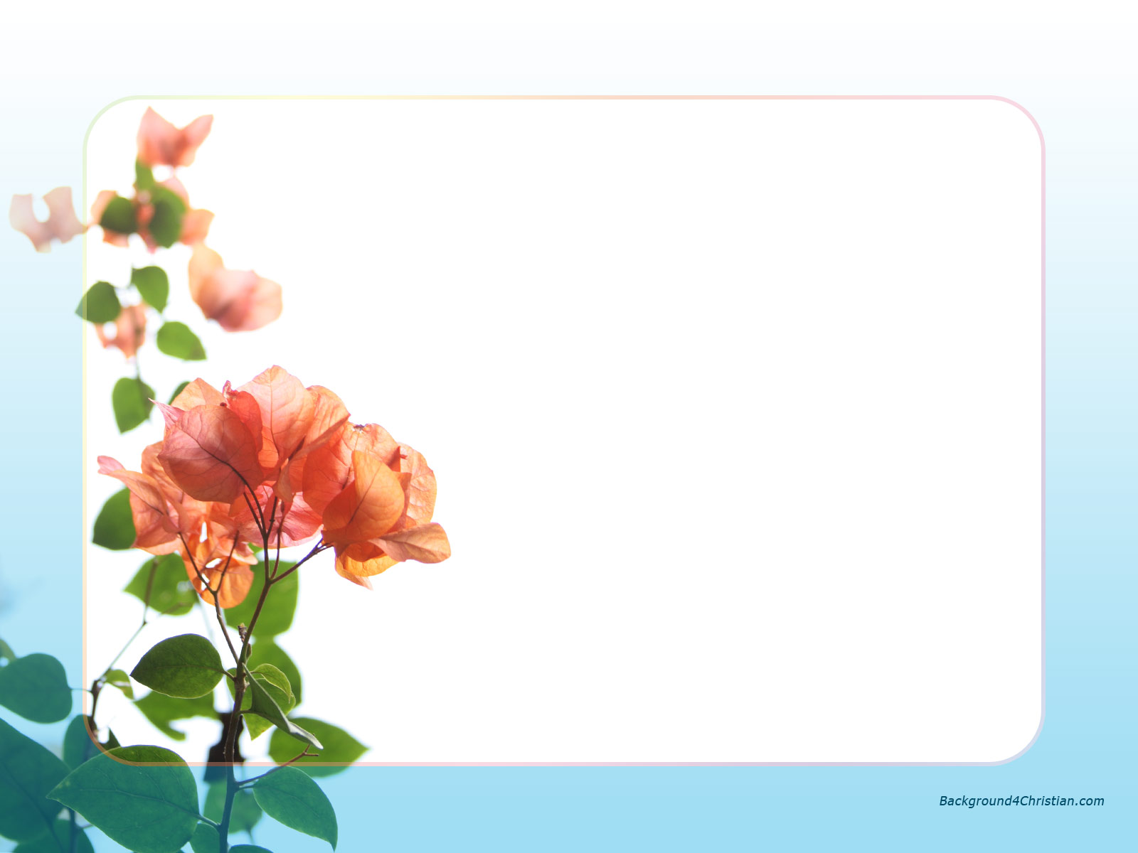 Wallpaper Floral Bright Borders Free Cliparts That You Can Download