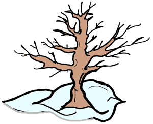 Winter Trees Clipart   Clipart Panda   Free Clipart Images