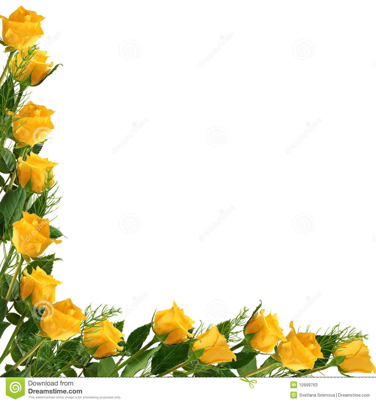 More Similar Stock Images Of   White Frame With Yellow Rose  