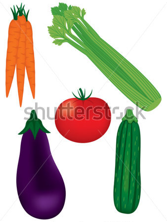 Vector Fresh Vegetables Carrots Celery Tomato Eggplant Squash