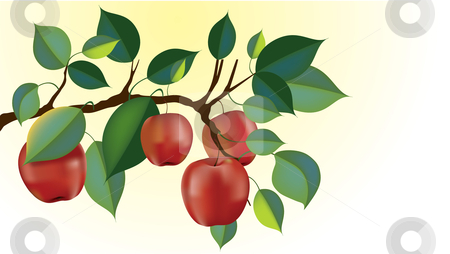 Clipart Red Delicious Apple Branch Ready For Harvest  Gradient Mesh
