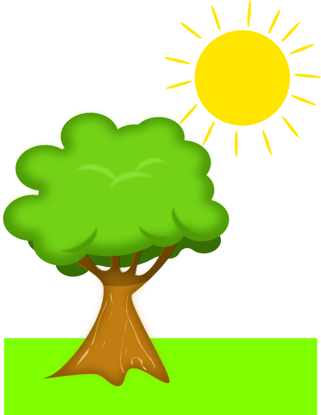 Natural Resources Clipart Tree Under Sunlight Clip Art