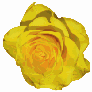 Rose Clip Art At Clker Com   Vector Clip Art Online Royalty Free    