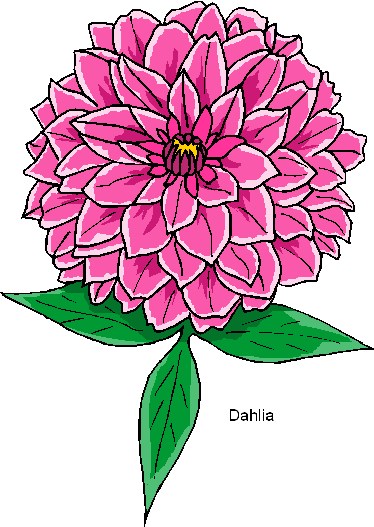 Dahlia Free Flower Clipart   Free Microsoft Clipart
