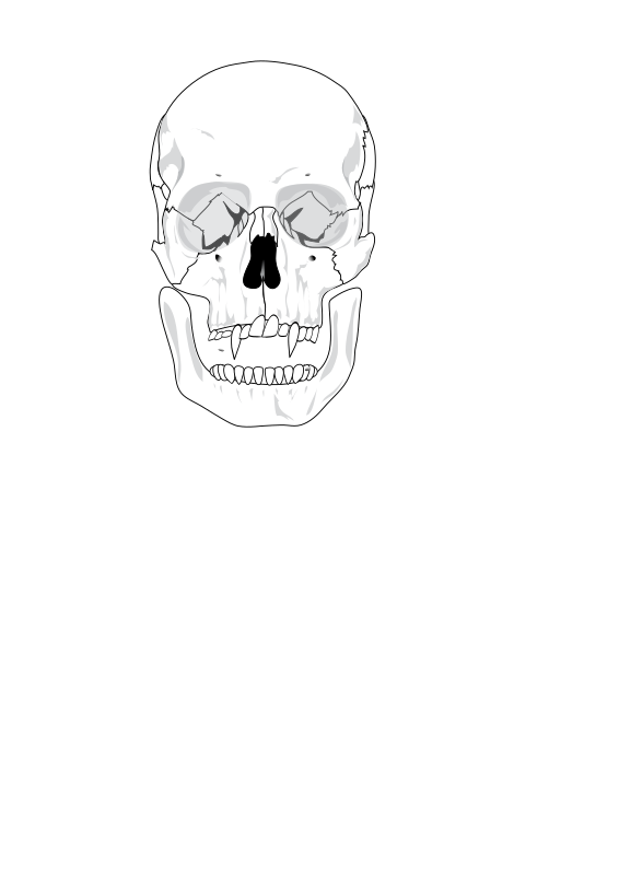 Evil Skull By Hippygumbo   An Evil Skull