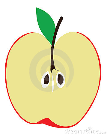 Apple Seed Clipart Half Of Apple