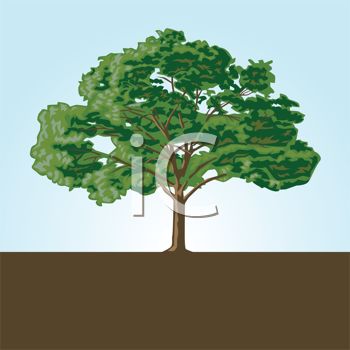 Free Oak Tree Clip Art  Large Shady Tree In Soil Logo