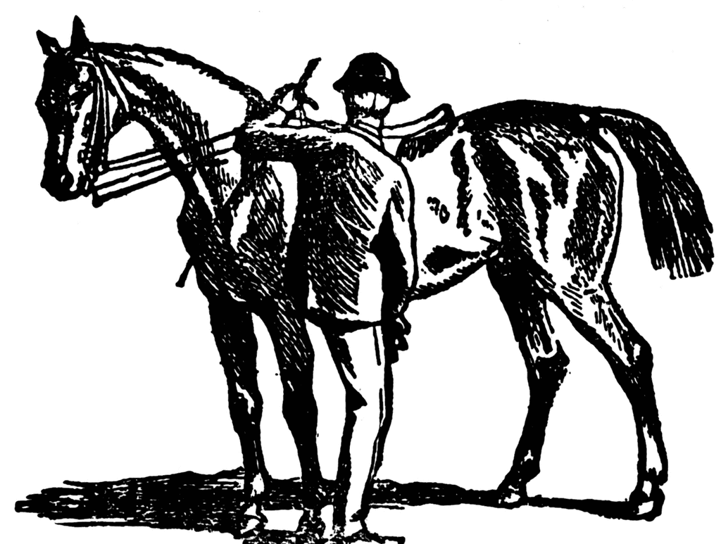 Horseriding   Clipart Etc