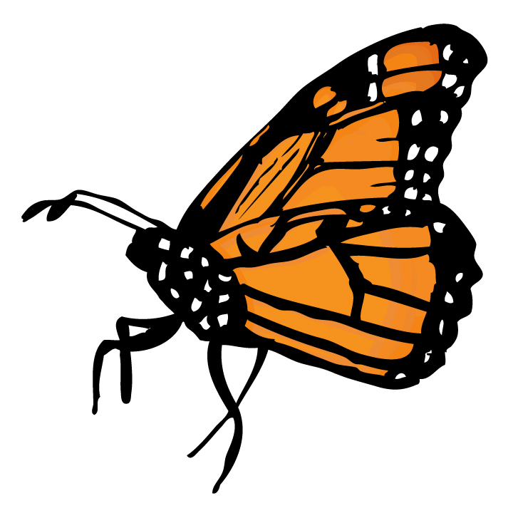 Monarch Caterpillar Clipart