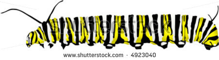 Monarch Caterpillar Clipart Stock Vector Vector Monarch Caterpillar