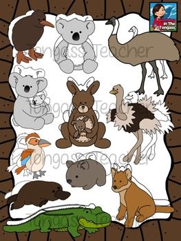 Australian Animal Friends Clipart Bundle