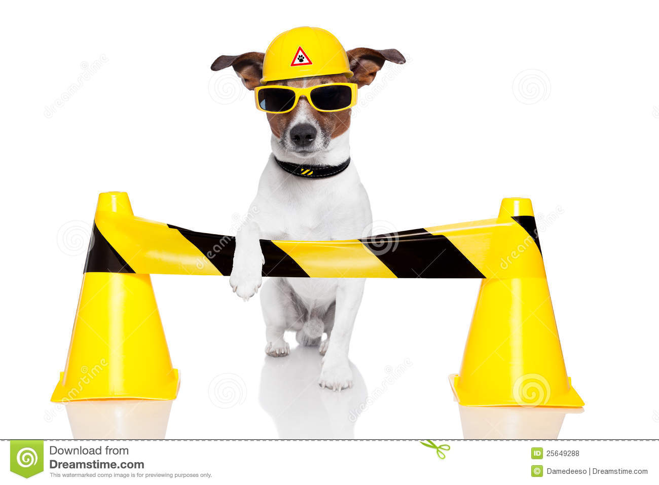 Dog Under Construction Royalty Free Stock Photos   Image  25649288