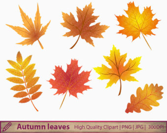 Autumn Leaves Clipart Autumn Leaves Clipart Commercial Use    