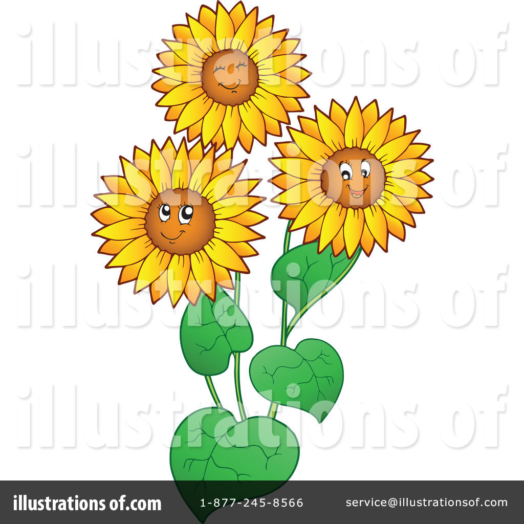 Fall Sunflower Clipart  Rf  Sunflowers Clipart