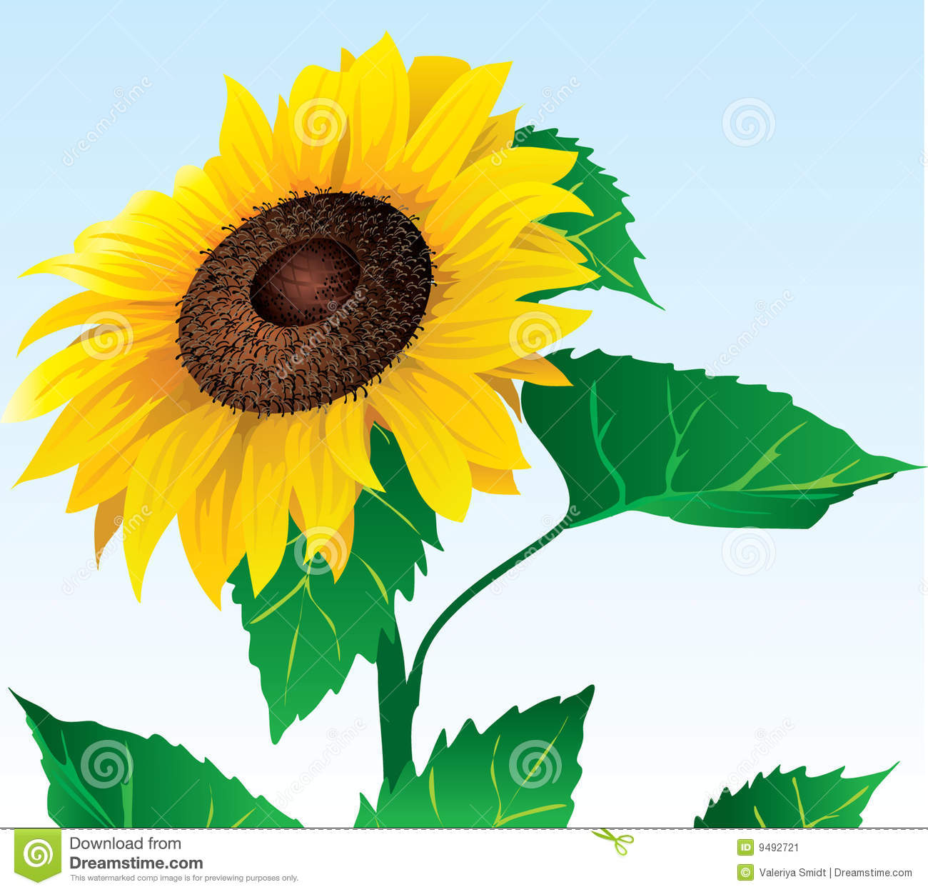 Fall Sunflower Clipart Vector Image Sunflower On