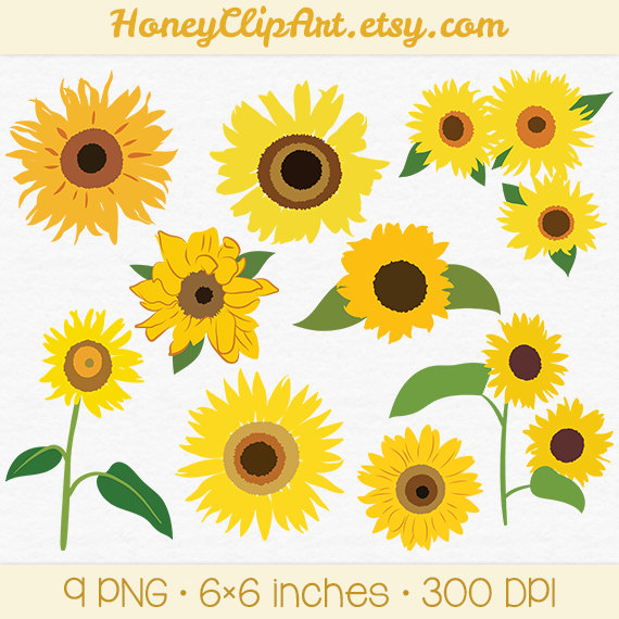 Floral Nature Clipart Summer Scrapbooking Fall Sunflower Graphic