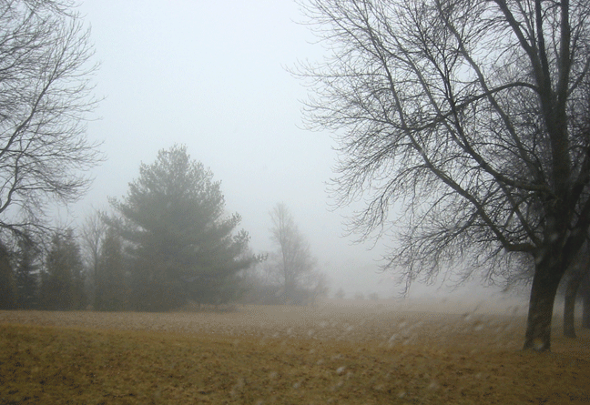 Foggy Clipart On The Foggy Morning