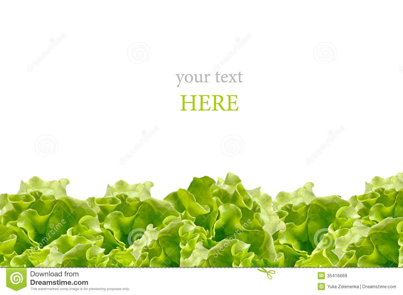 Fresh Green Salad Isolated On White Background Royalty Free Stock