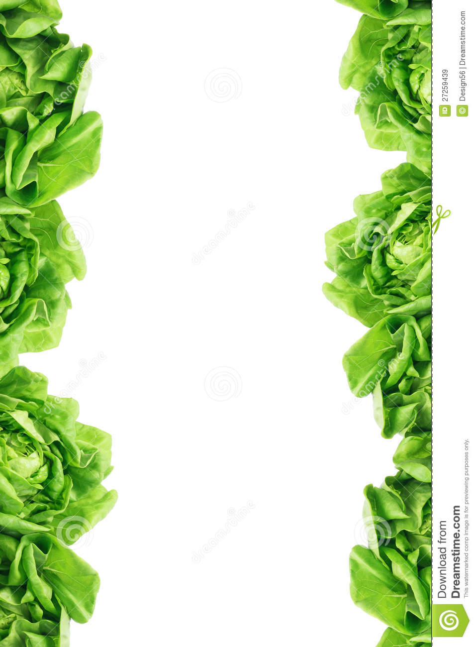 Green Leaves Border Royalty Free Stock Images   Image  27259439